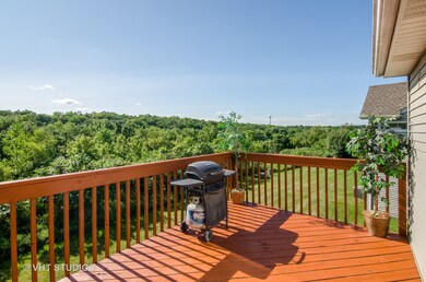 1006 Viewpoint Dr, Lake In the Hills, IL 60156 - photo 6