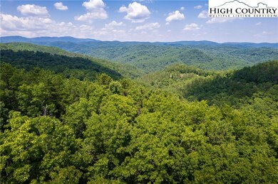 55 Reynolds Pkwy, Ferguson, NC 28624 - photo 6