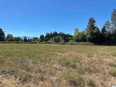 NKA Taylor Ranch Rd, Sequim, WA 98382 - photo 3