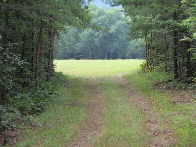 0 Stantons Ln, Greeneville, TN 37743 - photo 4