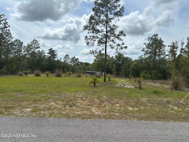 11110 SE 135th Ct, Dunnellon, FL 34431 - photo 3