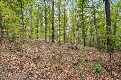 Lots 1 & 2 Kent Ln, Bella Vista, AR 72714 - photo 3