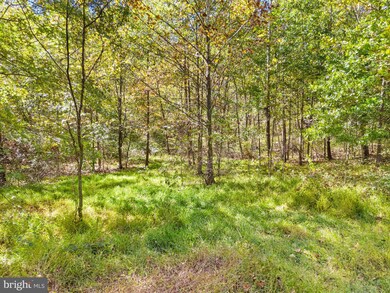 0 Rocky Ln, Huntly, VA 22640 - photo 2