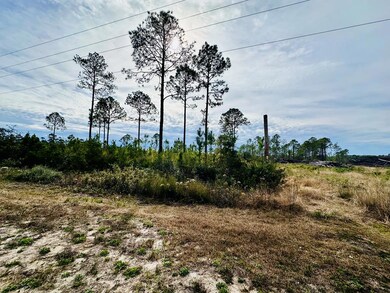 182 Airport Rd, Carrabelle, FL 32322 - photo 4