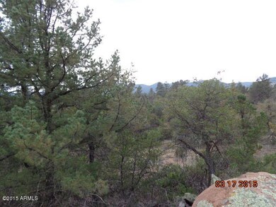 variety of trees.JPG