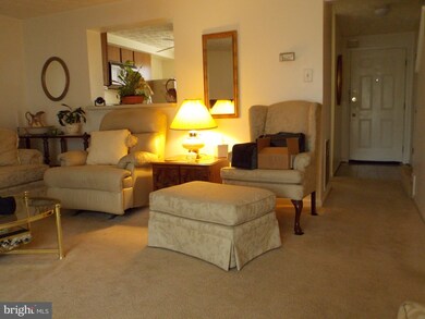 11991 Beltsville Dr, Beltsville, MD 20705 - photo 6