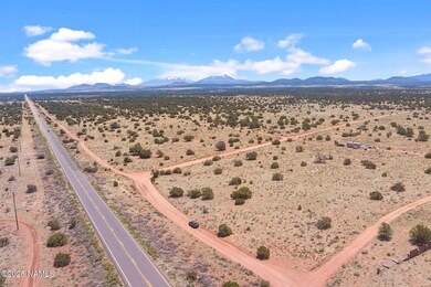 3202 S Canyon Vista Rd, Valle, AZ 86046 - photo 5