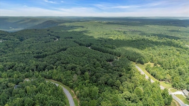 200 Whiskey Way, Jasper, TN 37374 - photo 2