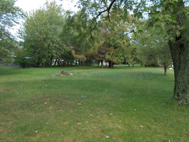 View of back yard