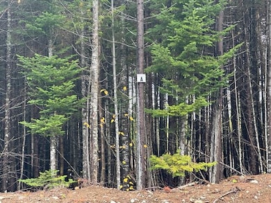 Lot J Whitetail Trail, Greenville, ME 04441 - photo 6