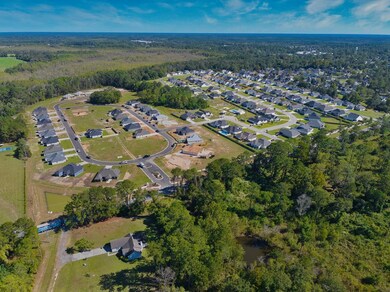 355 Barry Field Cir, Hahira, GA - photo 4