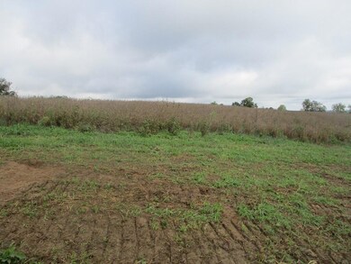 4097 Hilltop Rd, Ewing, KY 41039 - photo 3