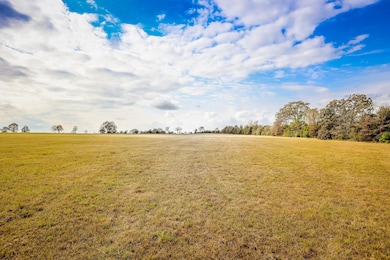 20 AC County Road 3104, Gladewater, TX 75647 - photo 2