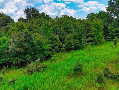 0 Shores Trail unit RTC3000397, Stewart, TN 37175 - photo 5