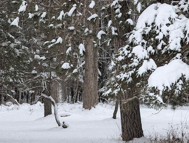 57695 Four Corners Rd, Mason, WI 54856 - photo 3