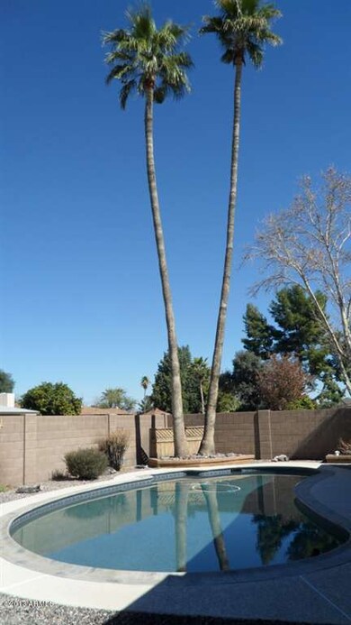 Pool palm trees