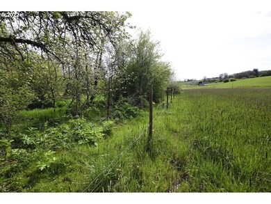 0 NW Bishop Scott Rd unit 22235226, Yamhill, OR 97148 - photo 6