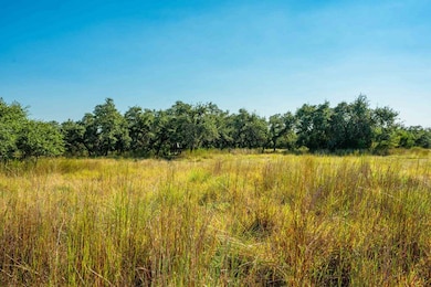 147 Gray Wolf, Blanco, TX 78606 - photo 4