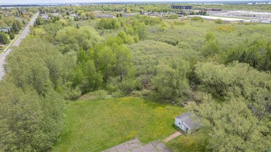 View of bird's eye view