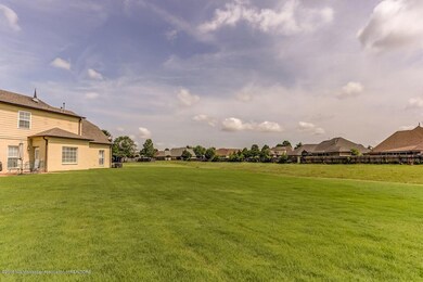 Rear yard 2