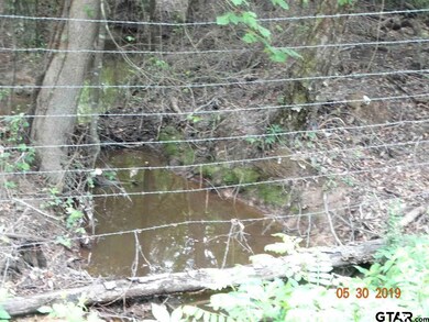 19707 County Road 234, Tyler, TX 75707 - photo 5