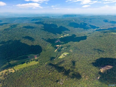 3818 -6 County Road 4 unit TRACT 6, Hollytree, AL 35751 - photo 5