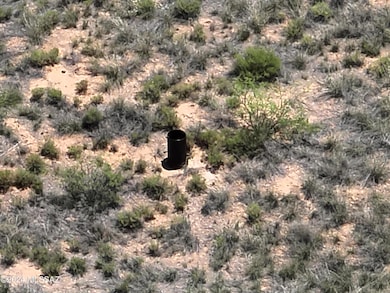 DJI_20240709120351_0001_V