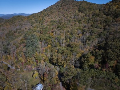 0 Treehouse Rd unit 26042720, Whittier, NC 28789 - photo 6