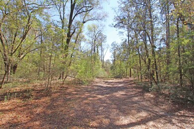 126 Nine Gables Ln, Crawfordville, FL 32327 - photo 3