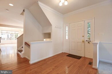 217 Misty Pond Terrace, Purcellville, VA 20132 - photo 5