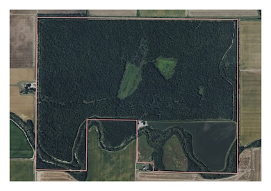 4297 U S 62, Corning, AR 72422 - photo 3