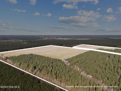 0 Tuten Rd, Edward, NC 27821 - photo 4