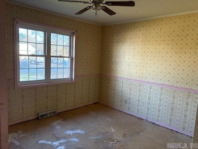 203 E Plum St, Hayti, MO 63851 - photo 5