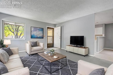 1054 Lutheran Way, Colorado Springs, CO 80915 - photo 6