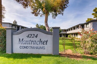 4224 Montrachet