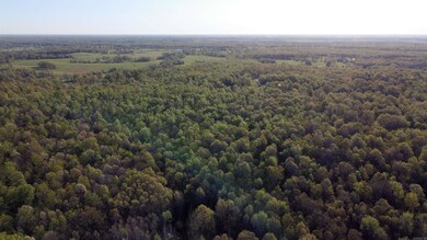 000 Carmickle Rd, Maynard, AR 72444 - photo 6