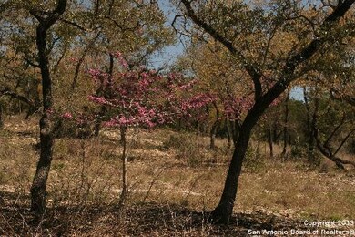 21655 Cielo Ridge Dr, San Antonio, TX 78256 - photo 3
