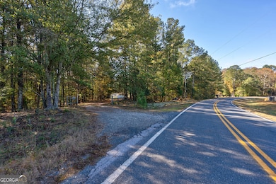 1321 Shepherd Rd, Madison, GA 30650 - photo 3