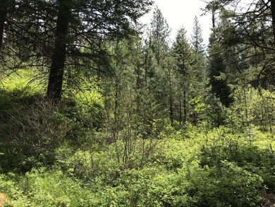 You May Have to Share With The Deer & Elk