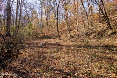 2020 Ruritan Rd, Harriman, TN 37748 - photo 4