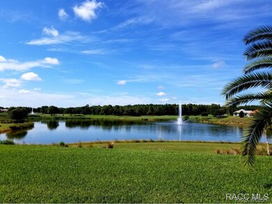 Gorgeous Lake View