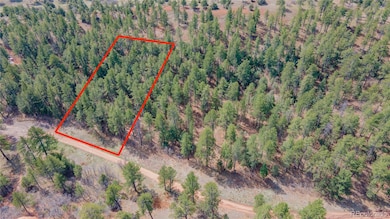 8257 Bannock Dr, Larkspur, CO 80118 - photo 5