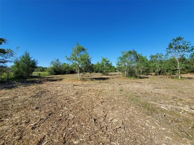1305 Rymal Rd, Alvin, TX 77511 - photo 6