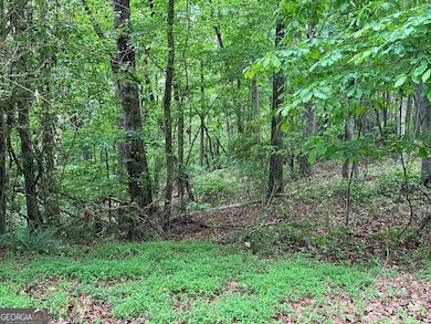 Lot 59 Timberwalk Dr unit 59, Ellijay, GA 30540 - photo 7