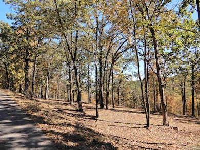 Lot 33, 34 & 35 Watersedge Dr, Edgemont, AR 72044 - photo 4