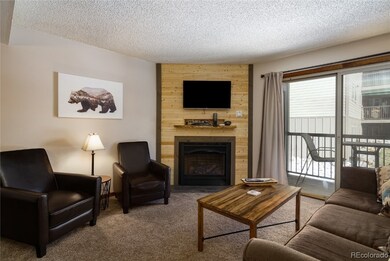 1565 Shadow Run Frontage unit 209, Steamboat Springs, CO 80487 - photo 6
