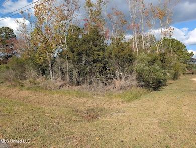 PXL_20251114_185635894.MP