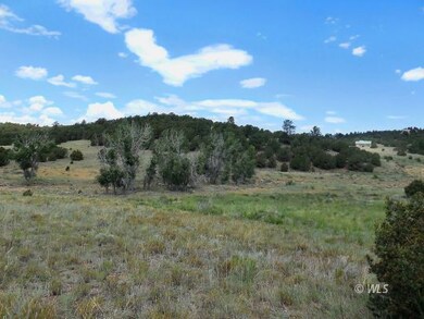 Looking across the acreage at cottonwood
