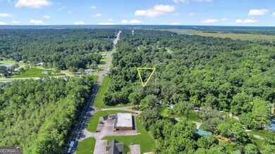 Tract B 38 Acres, Darien, GA 31305 - photo 5