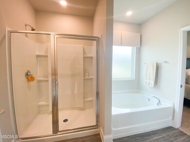 separate tub & shower